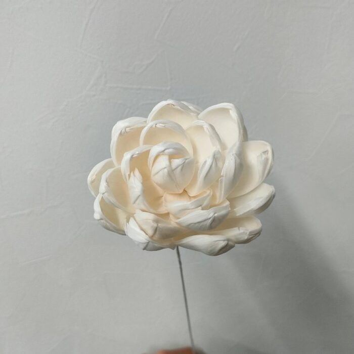 ソラフラワー 白 ソラフラワー 白