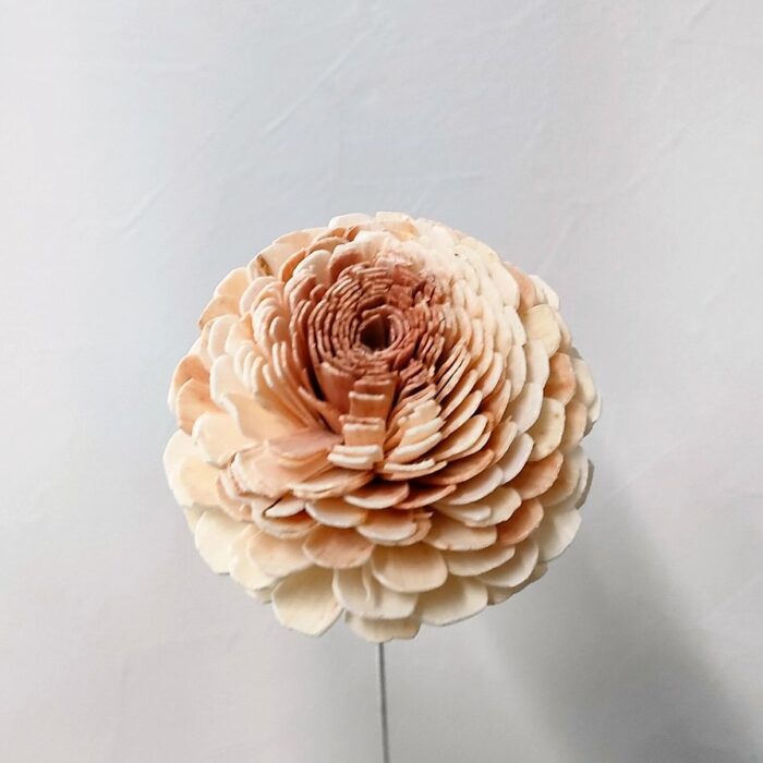 ソラフラワー ピンク ソラフラワー ピンク