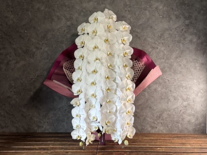 特注品【最低40日前予約・北上盛岡周辺限定】開花輪60輪以上　特別な3本立胡蝶蘭